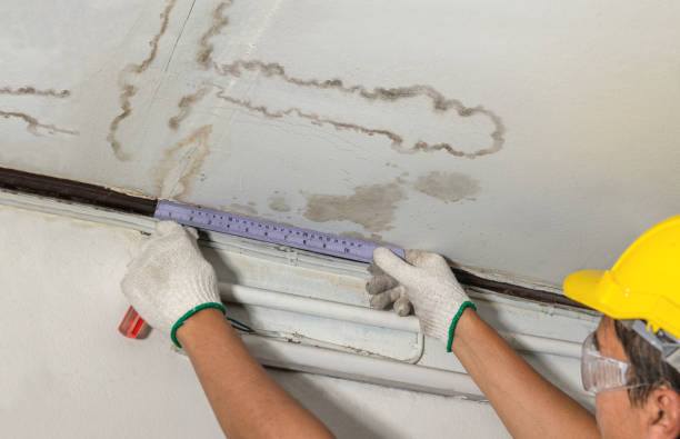 Reliable Structural Drying contractor in Martinsville, IL by Water Damage Irwin